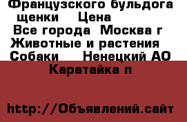 Французского бульдога щенки  › Цена ­ 35 000 - Все города, Москва г. Животные и растения » Собаки   . Ненецкий АО,Каратайка п.